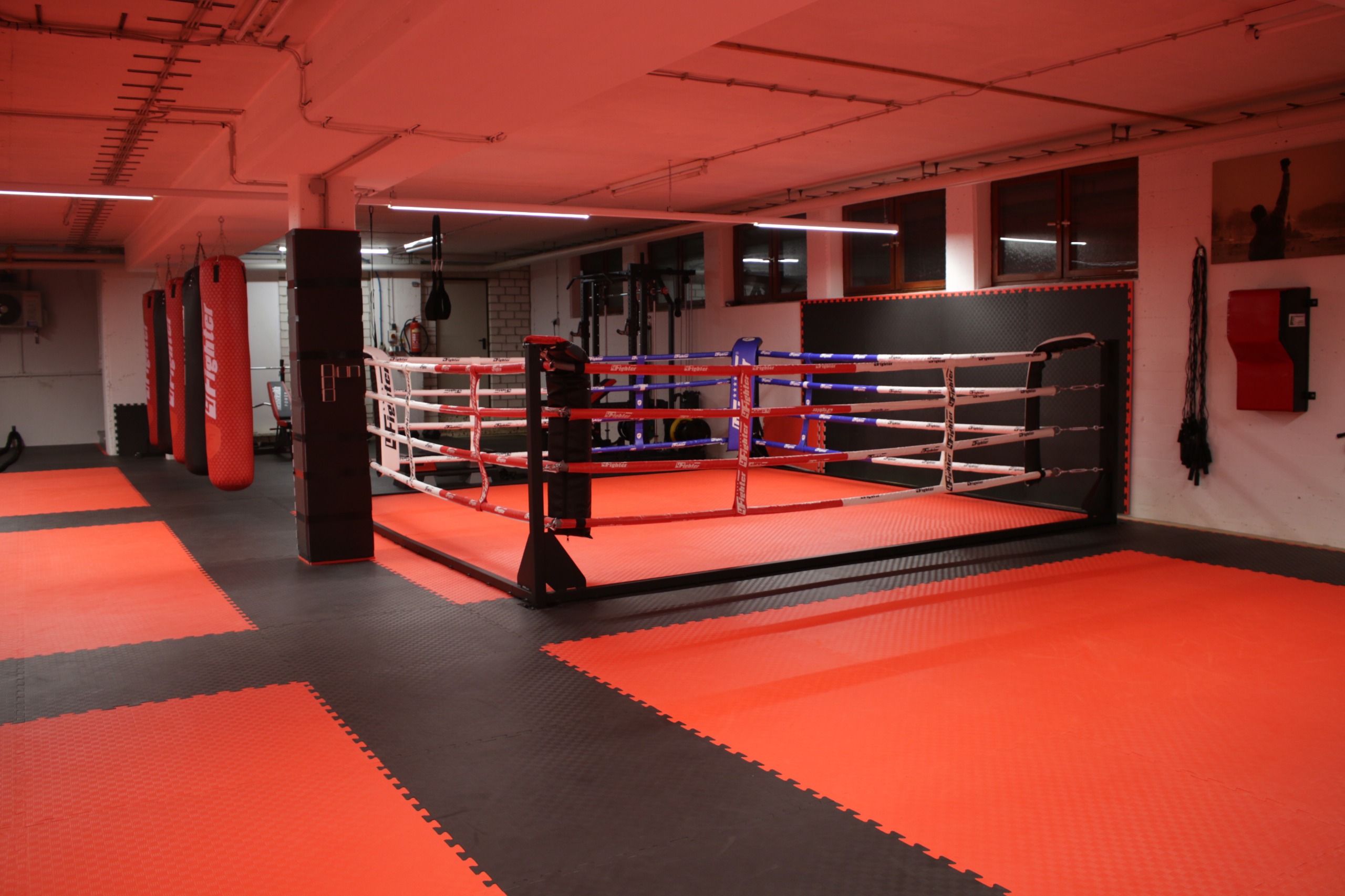 gym2 Akademie f&uuml;r Selbstverteidigung & Kickboxen Weinstadt