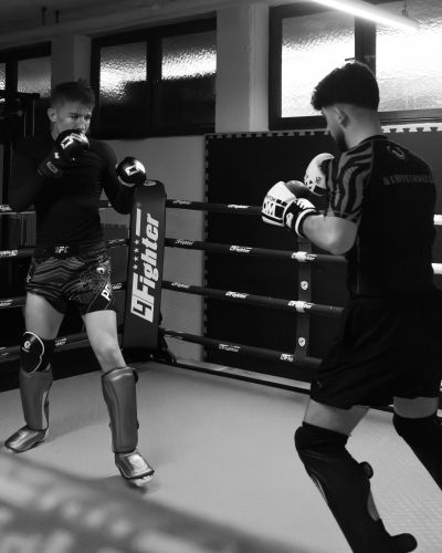 mixmartialarts-0e8b93d9 MMA